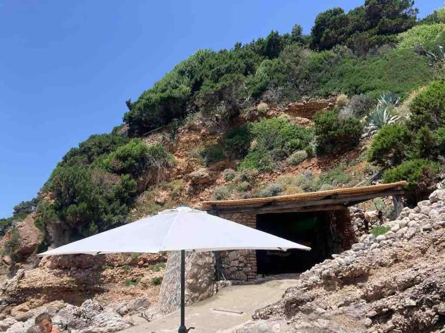 Casa Al Mare Con Spiaggia Privata Condominiale 圣费利切-奇尔切奥 外观 照片