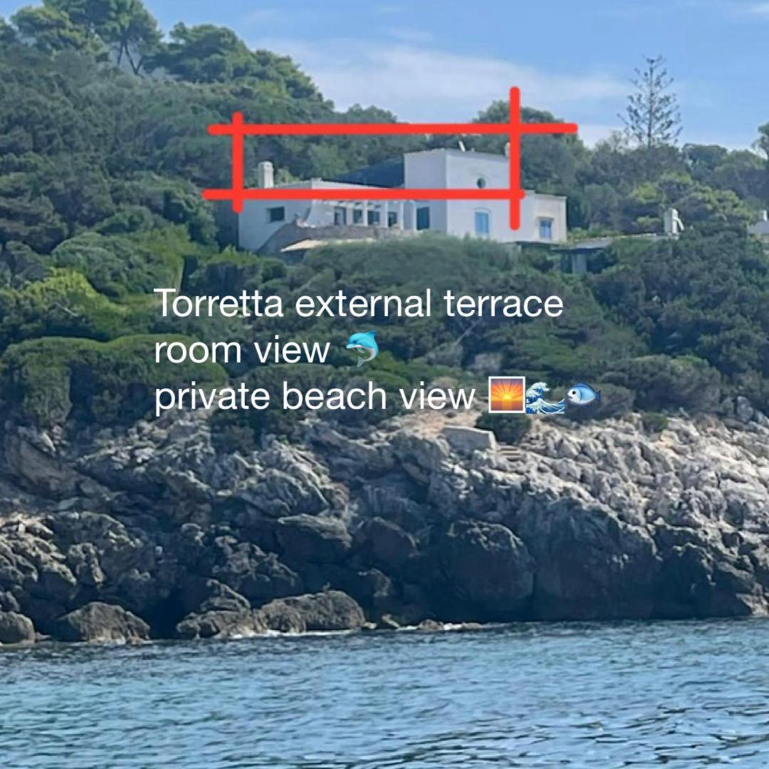 Casa Al Mare Con Spiaggia Privata Condominiale 圣费利切-奇尔切奥 外观 照片